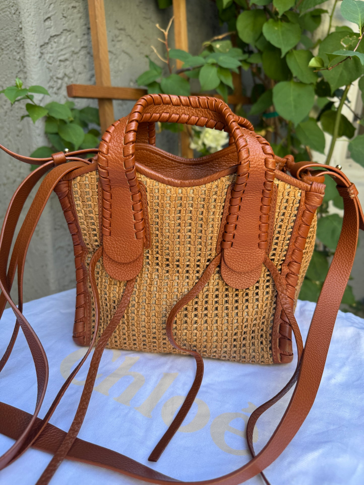Chloé Mony Small Raffia Tote Crossbody