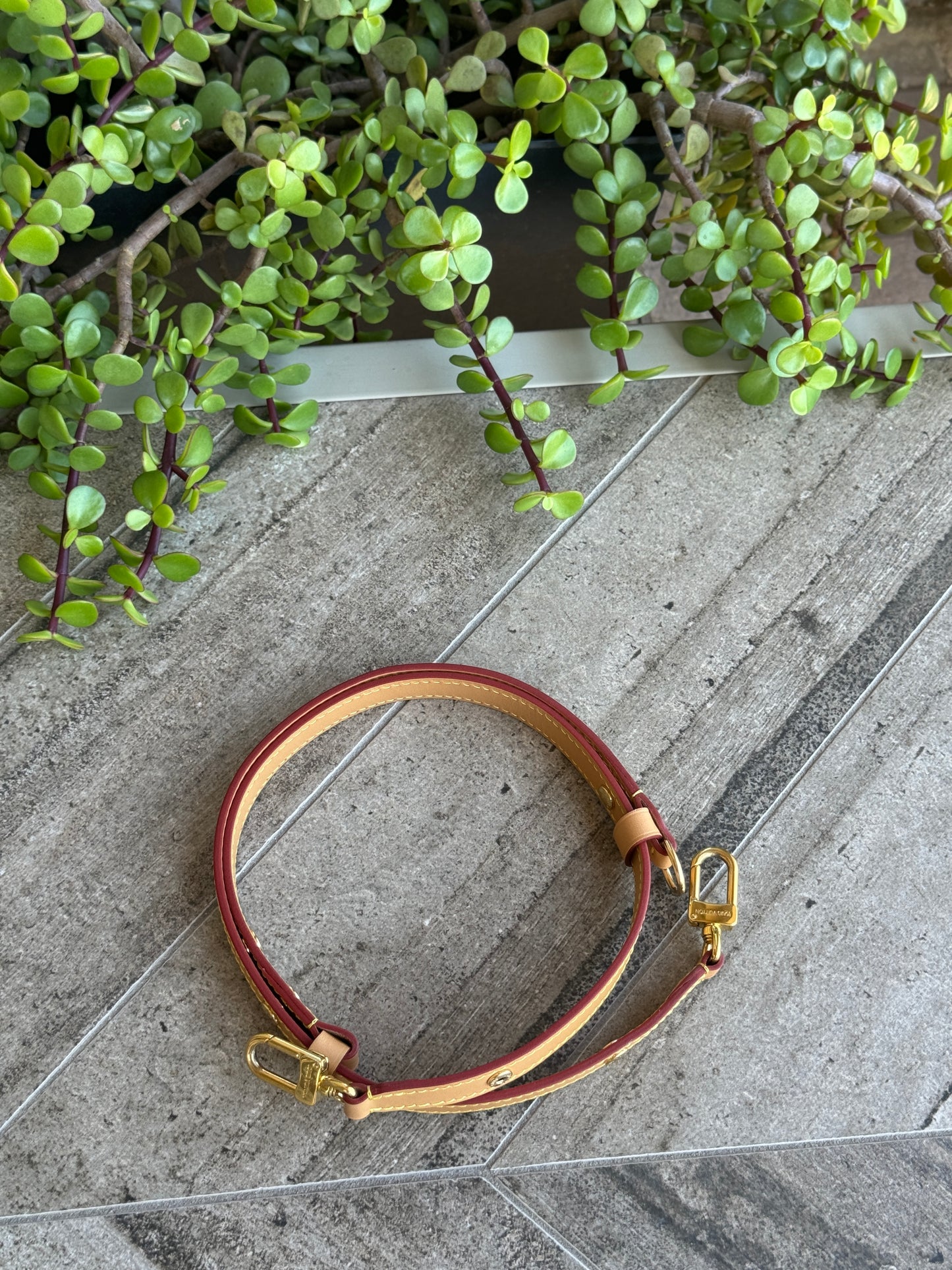 Louis Vuitton Vachetta Leather Shoulder Strap