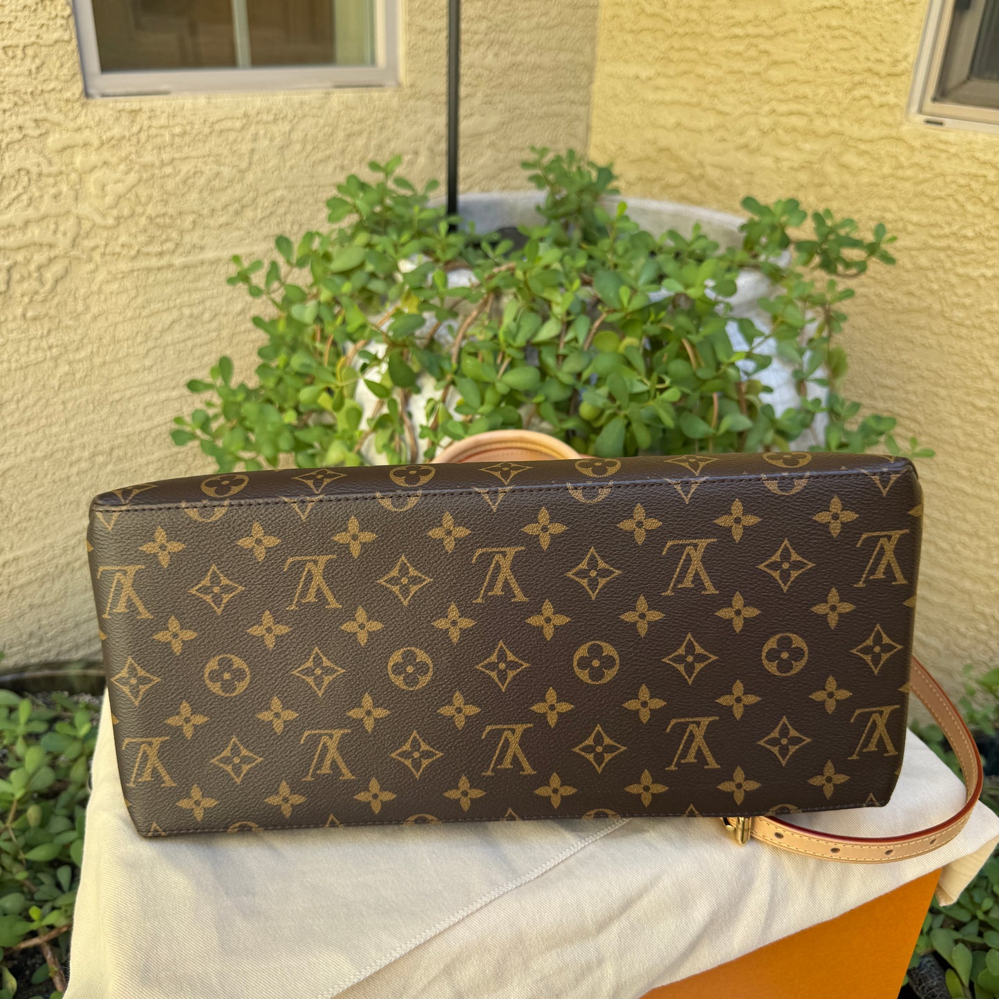 Louis Vuitton Monogram Grand Palais Tote