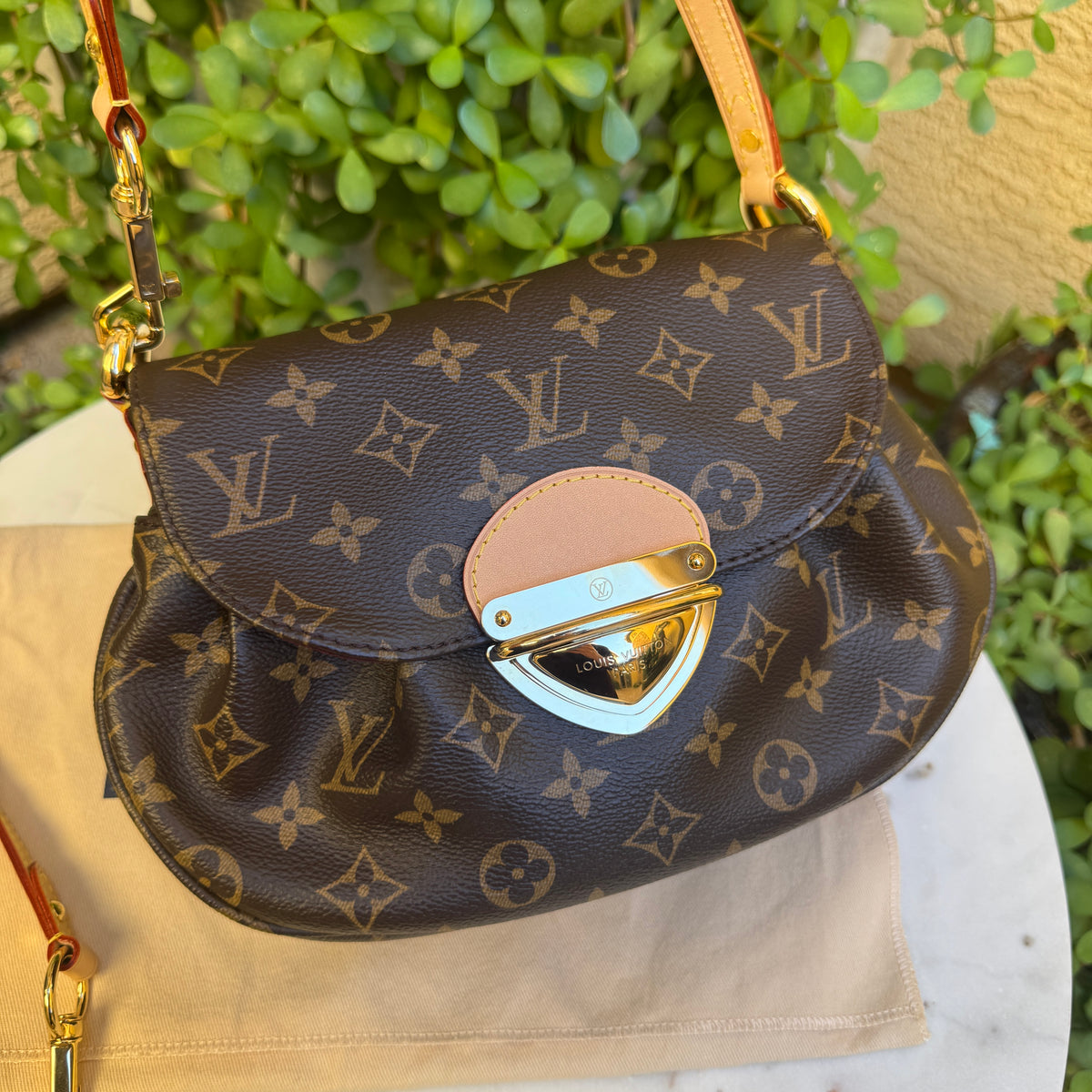 Louis Vuitton Monogram Sunset Bag