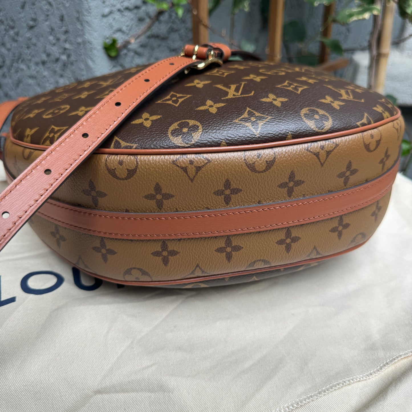 Louis Vuitton Loop Hobo