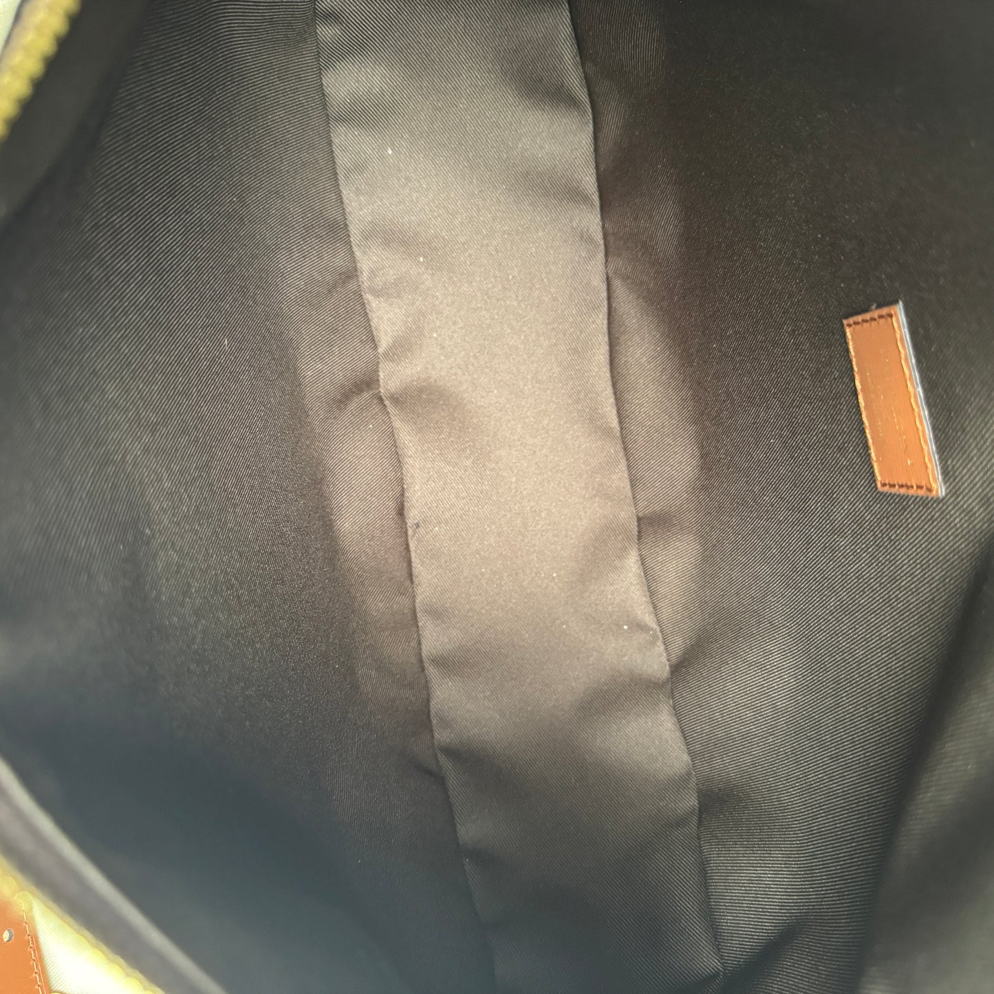 Louis Vuitton Loop Hobo