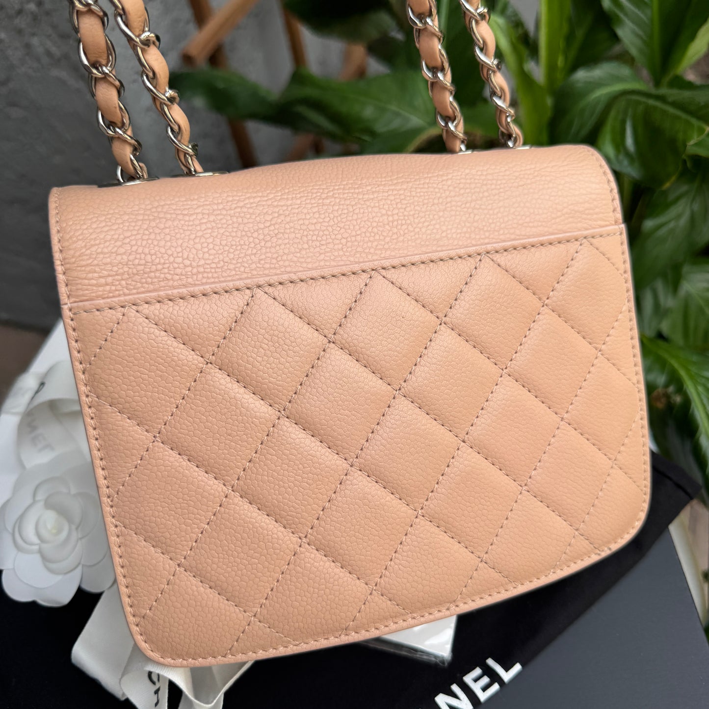 Chanel Caviar Leather CC Box Flap Bag