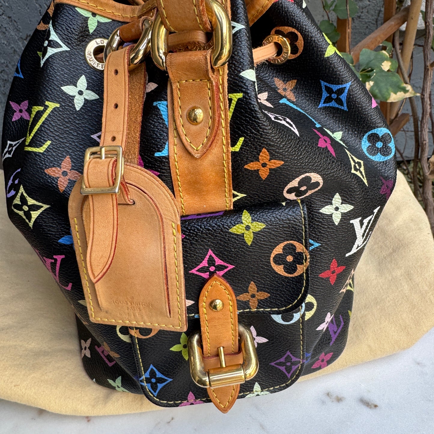 Louis Vuitton Multicolore Petit Noe Bucket Drawstring Shoulder Bag