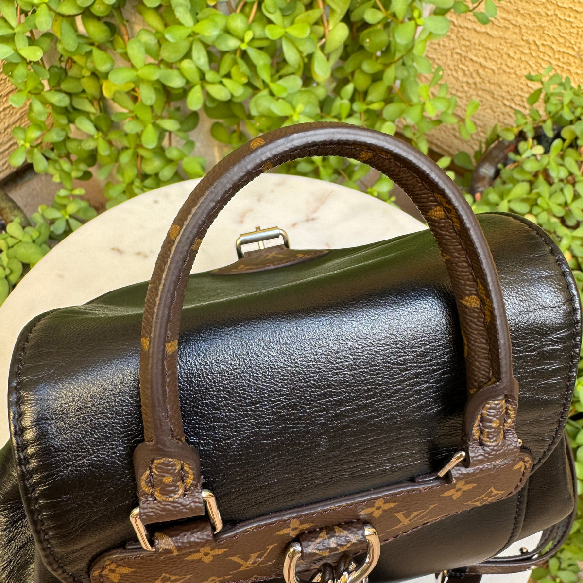 Louis Vuitton Lambskin Montsouris Vibe PM Backpack