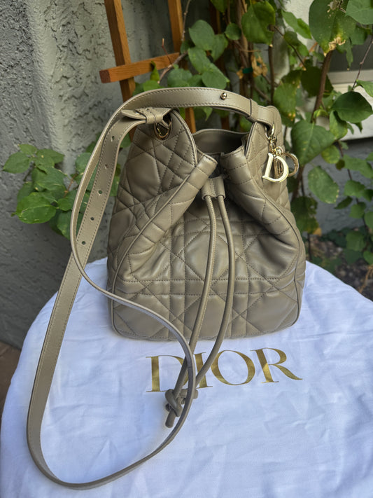 Christian Dior Medium D-Motion Bucket Bag