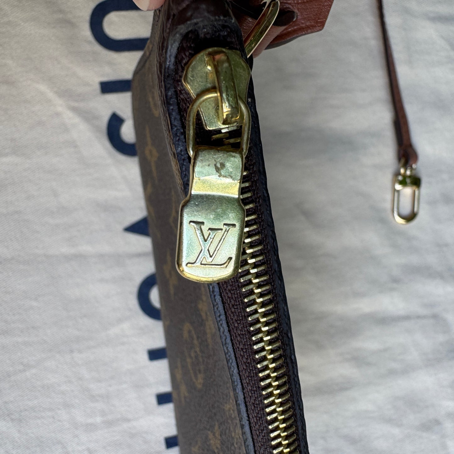 Louis Vuitton Reverse Monogram Loop Hobo Shoulder Bag