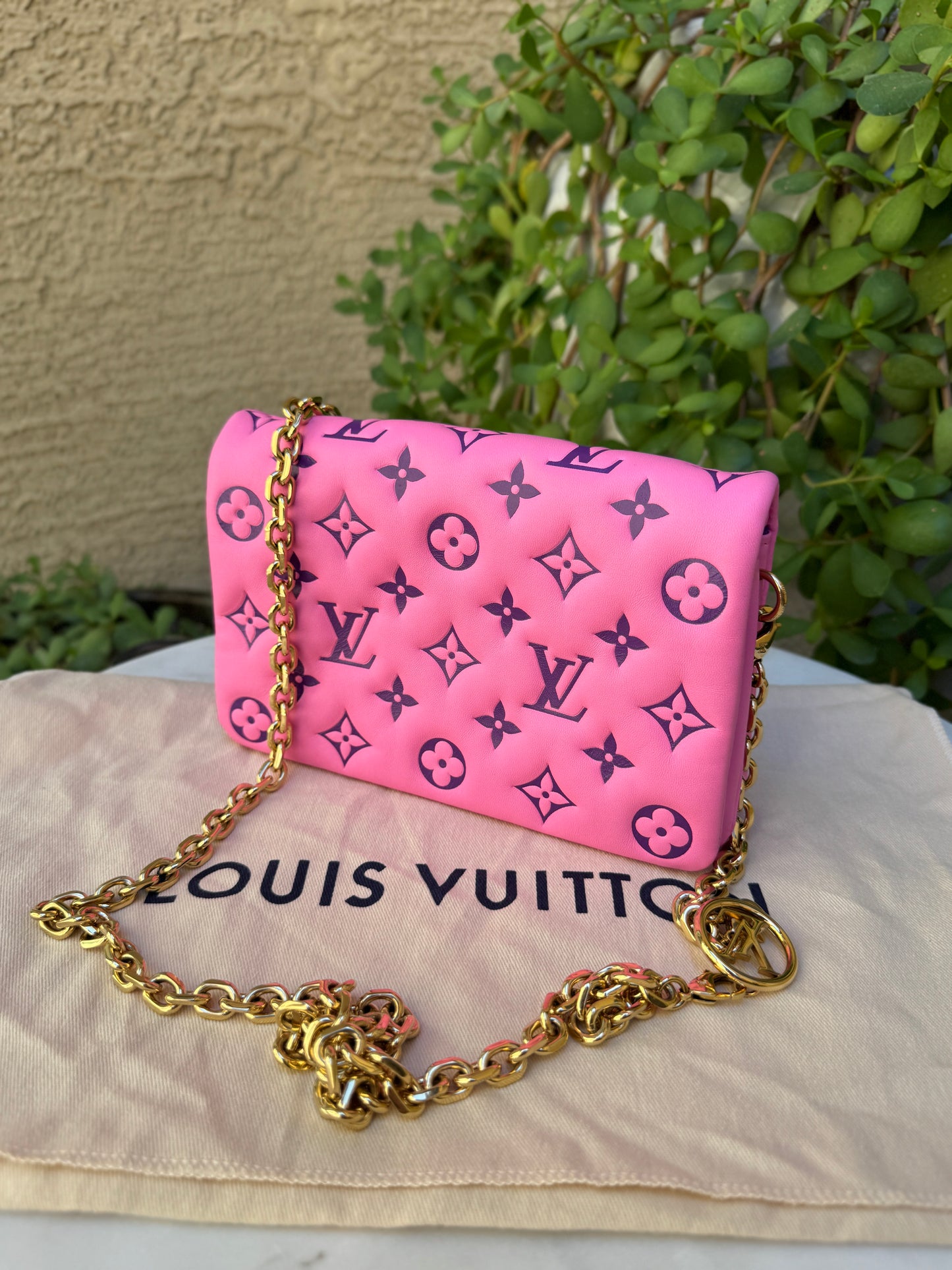 Louis Vuitton Monogram Lambskin Vuittamins Pochette Coussin