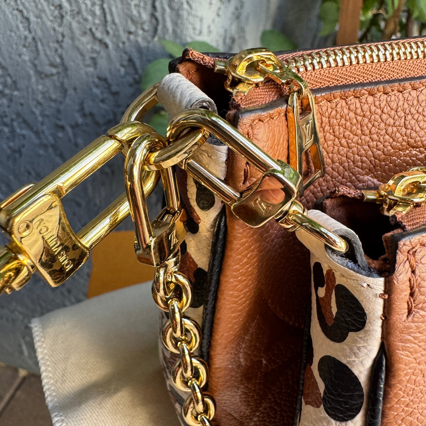 Louis Vuitton Wild at Heart Multi Pochette Accessoires