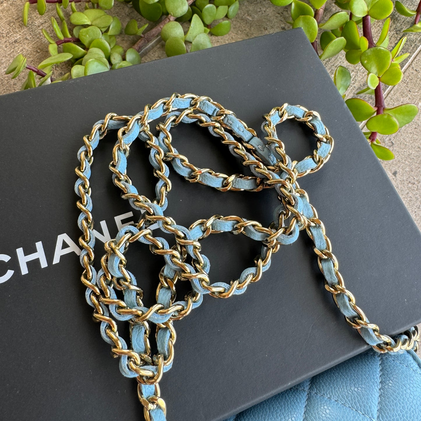 Chanel Classic Caviar WOC Wallet On Chain Crossbody
