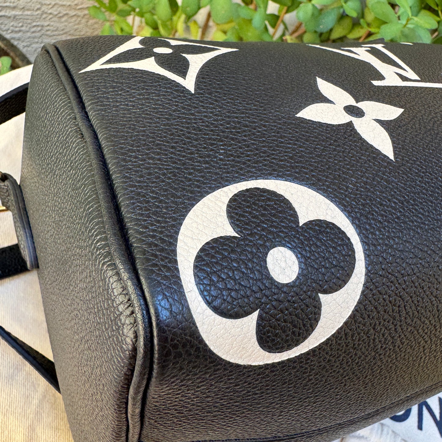 Louis Vuitton Speedy Bandoulière 25