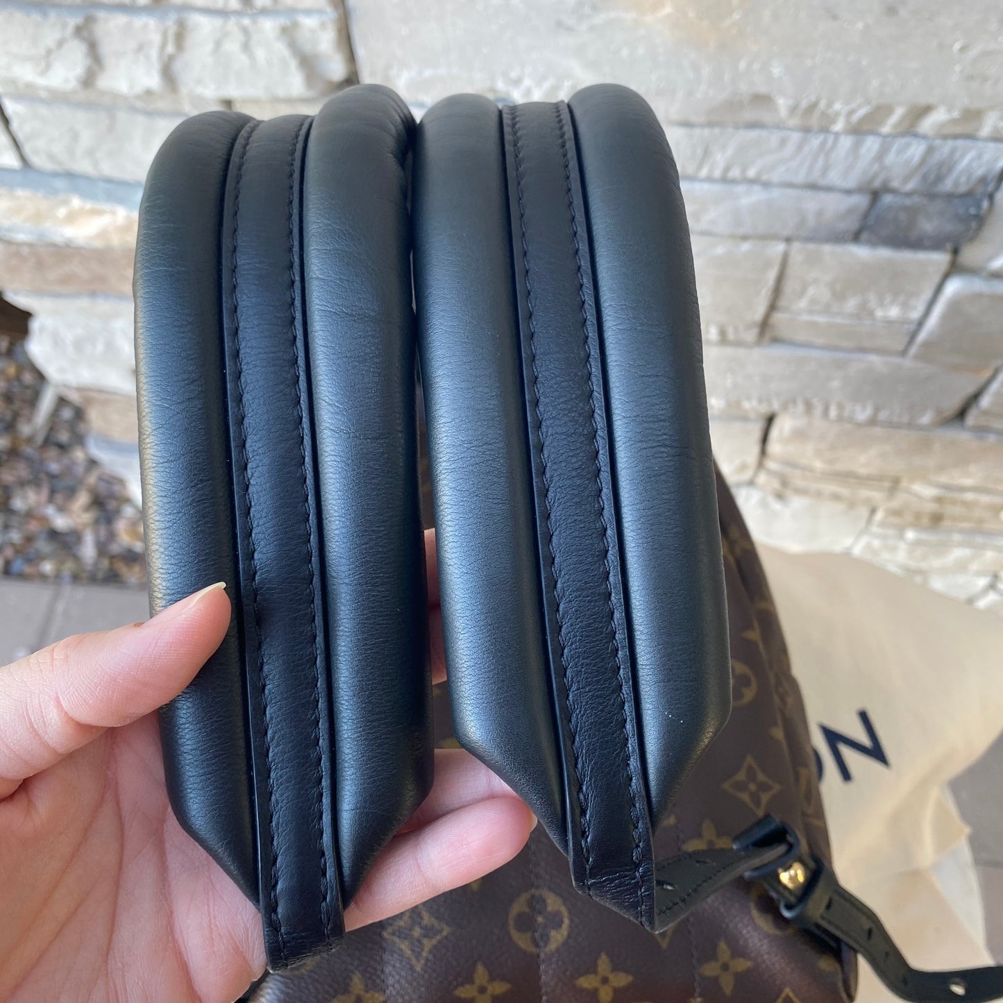 Louis Vuitton Monogram Palm Springs PM Backpack