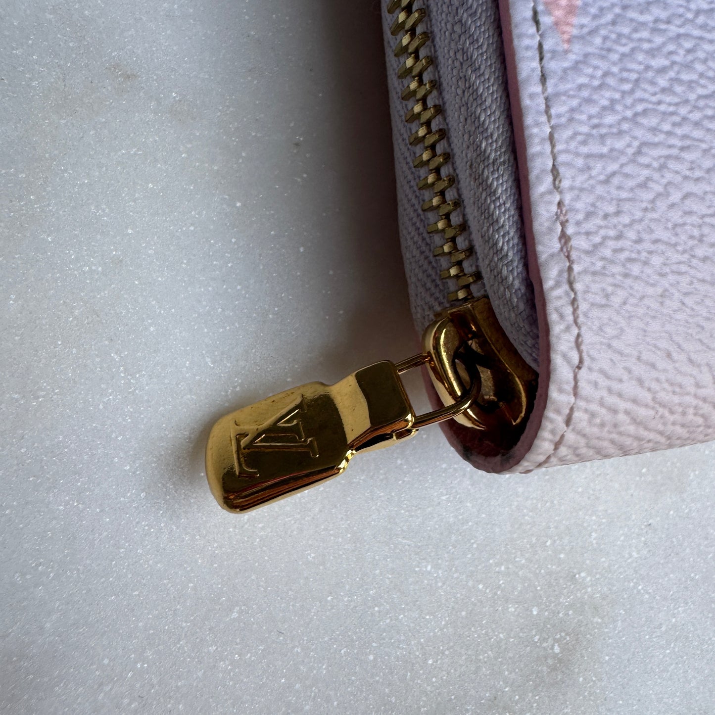 Louis Vuitton Spring in the City Zippy Wallet