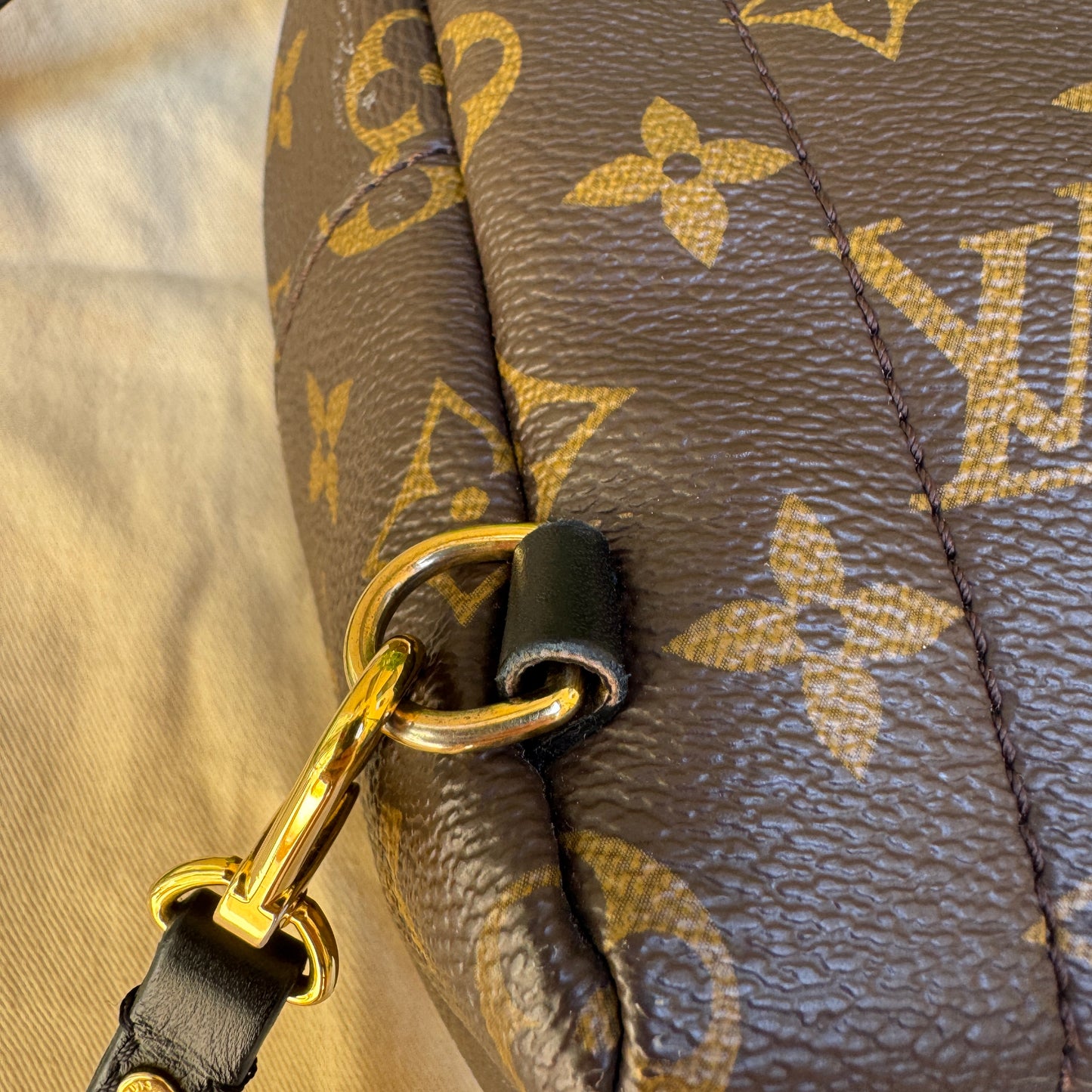 Louis Vuitton Monogram Mini Palm Springs Backpack