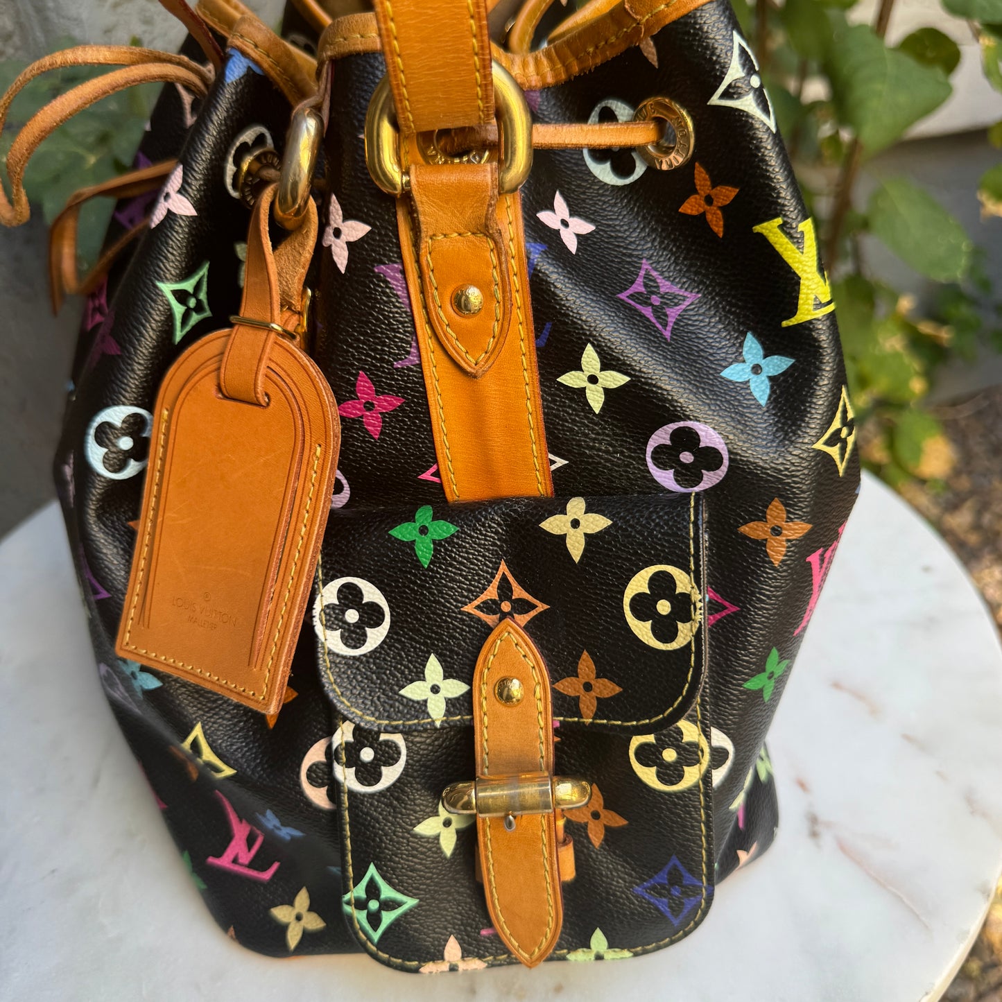 Louis Vuitton Multicolore Petit Noe Bucket Drawstring Shoulder Bag
