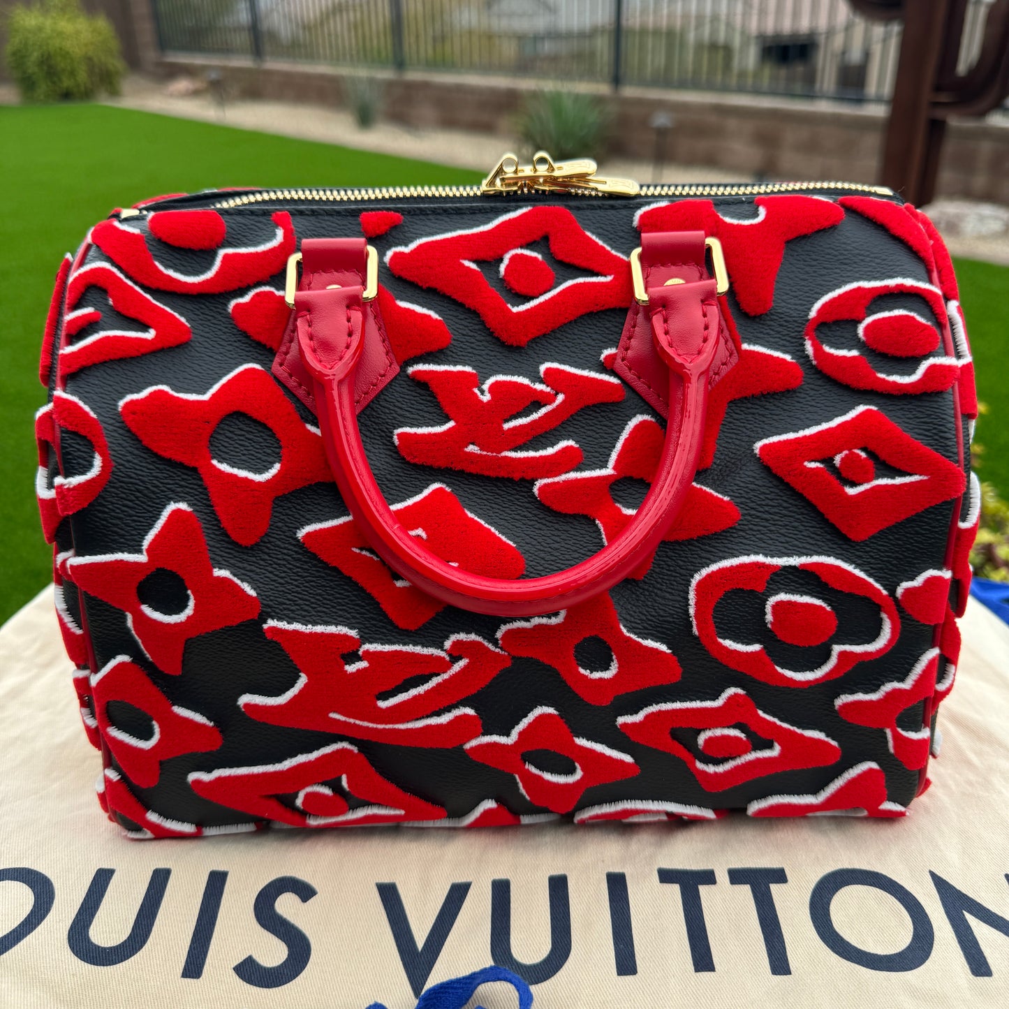 Louis Vuitton x Urs Fischer Speedy Bandoulière 25