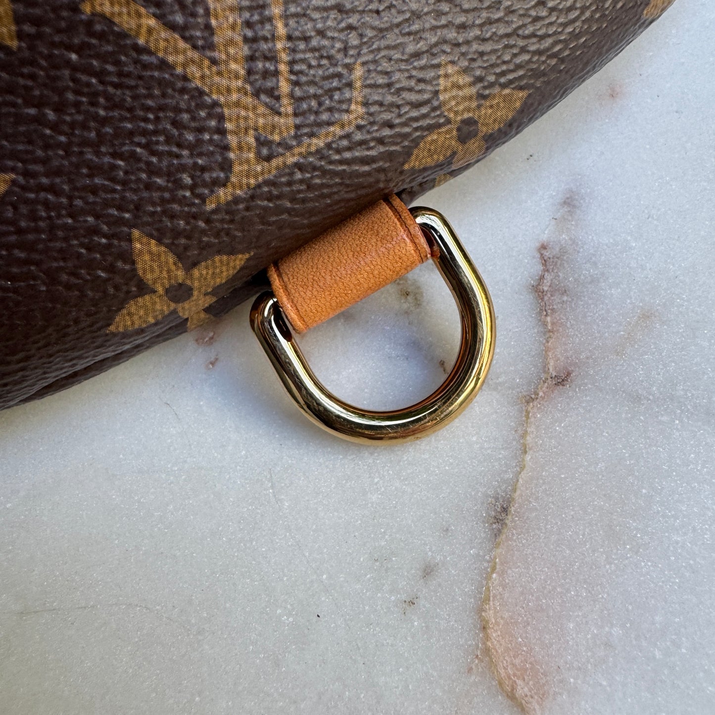 Louis Vuitton Monogram Bumbag