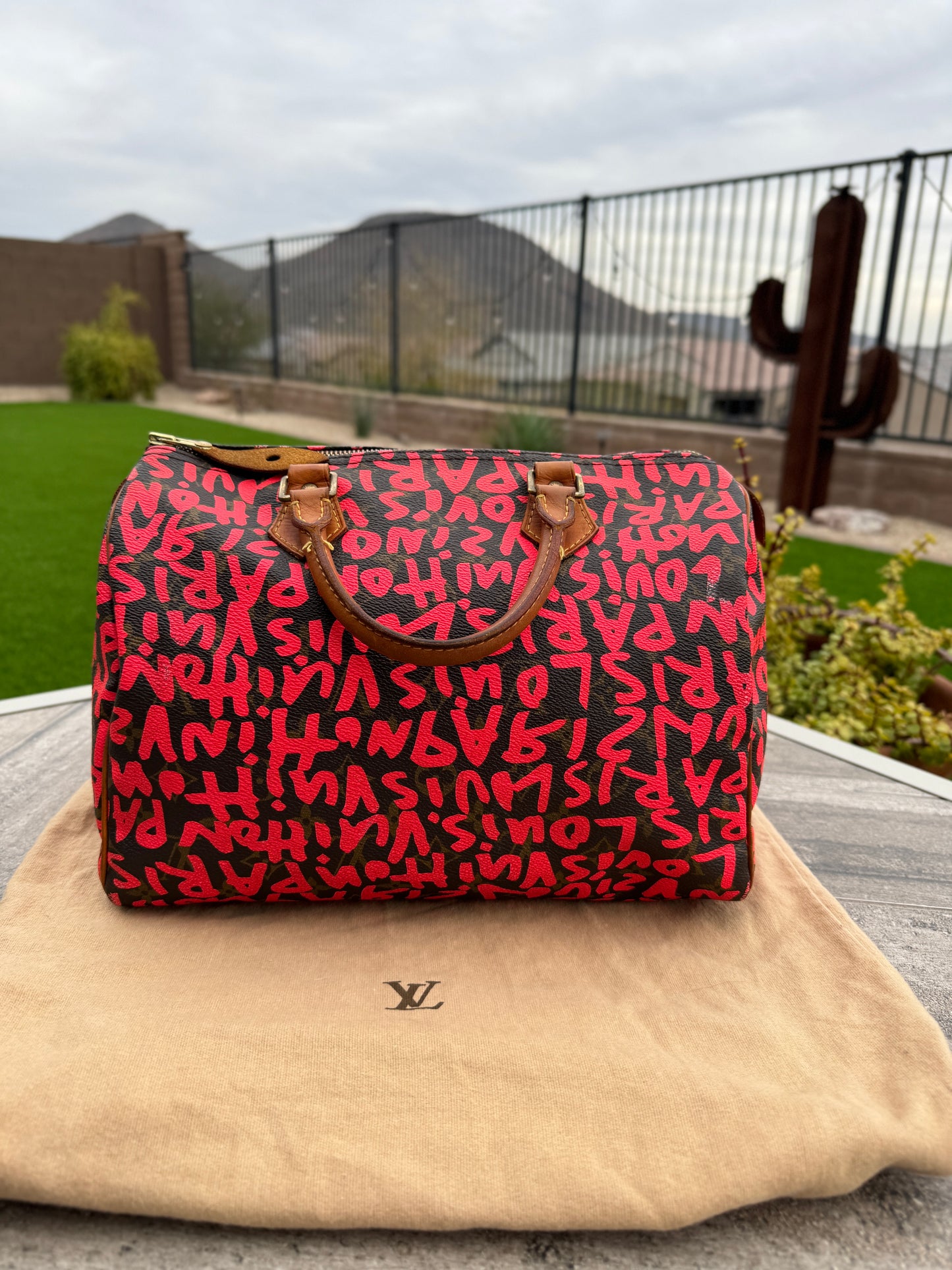 Louis Vuitton Graffiti Monogram Speedy 30