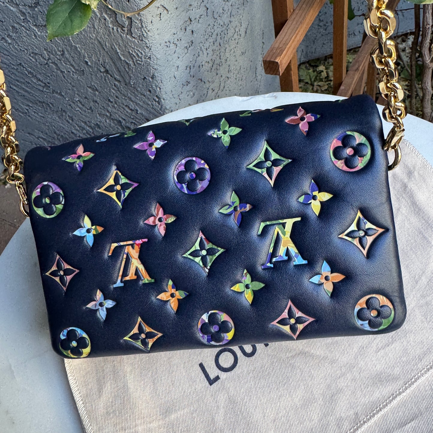 Louis Vuitton Multicolor Garden Pochette Coussin Crossbody