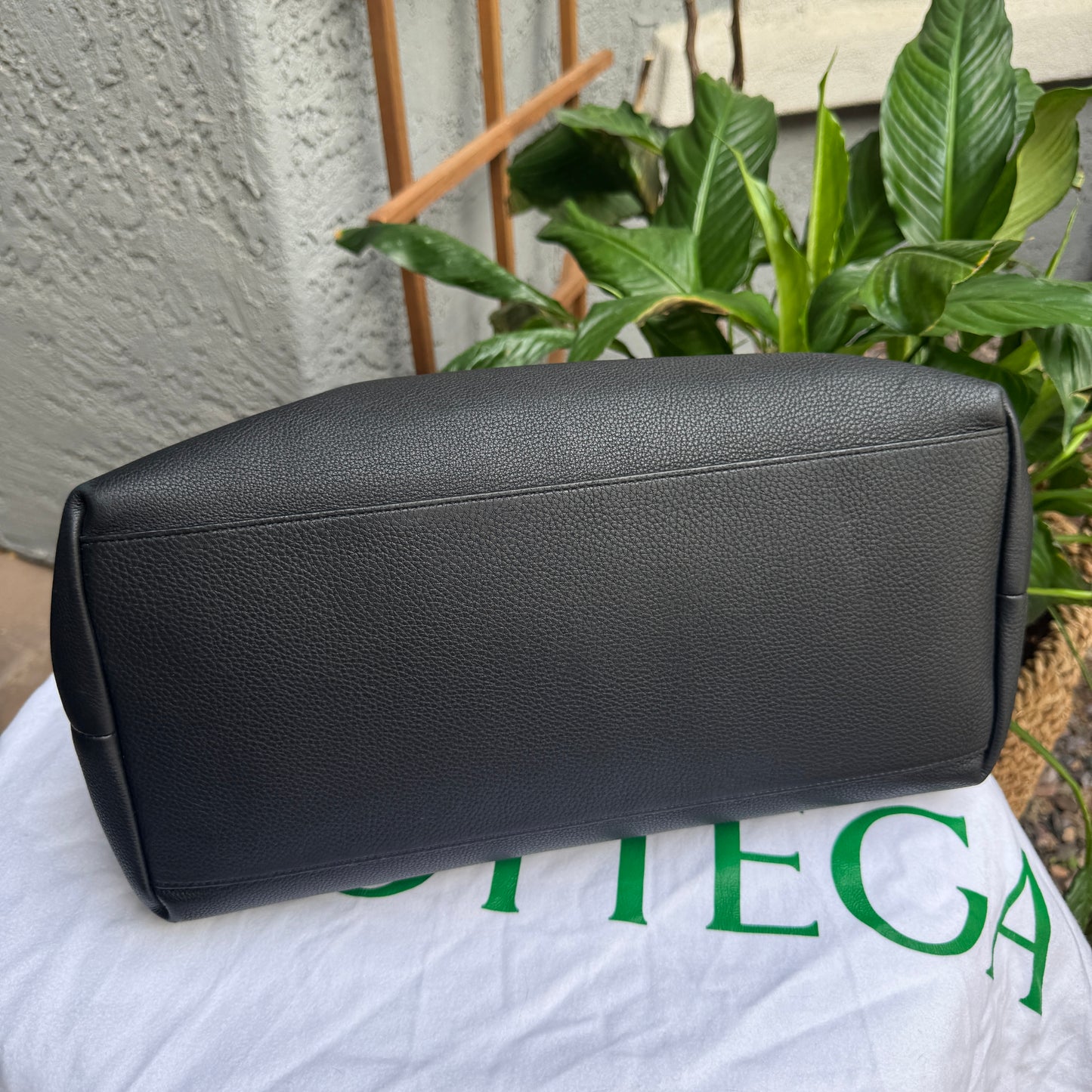 Bottega Veneta Mount Leather Tote