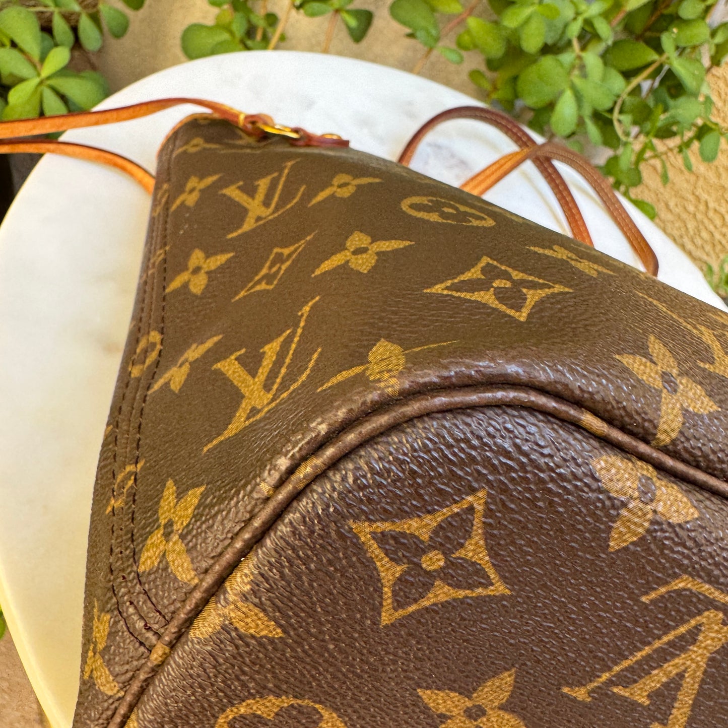 Louis Vuitton Monogram Neverfull PM