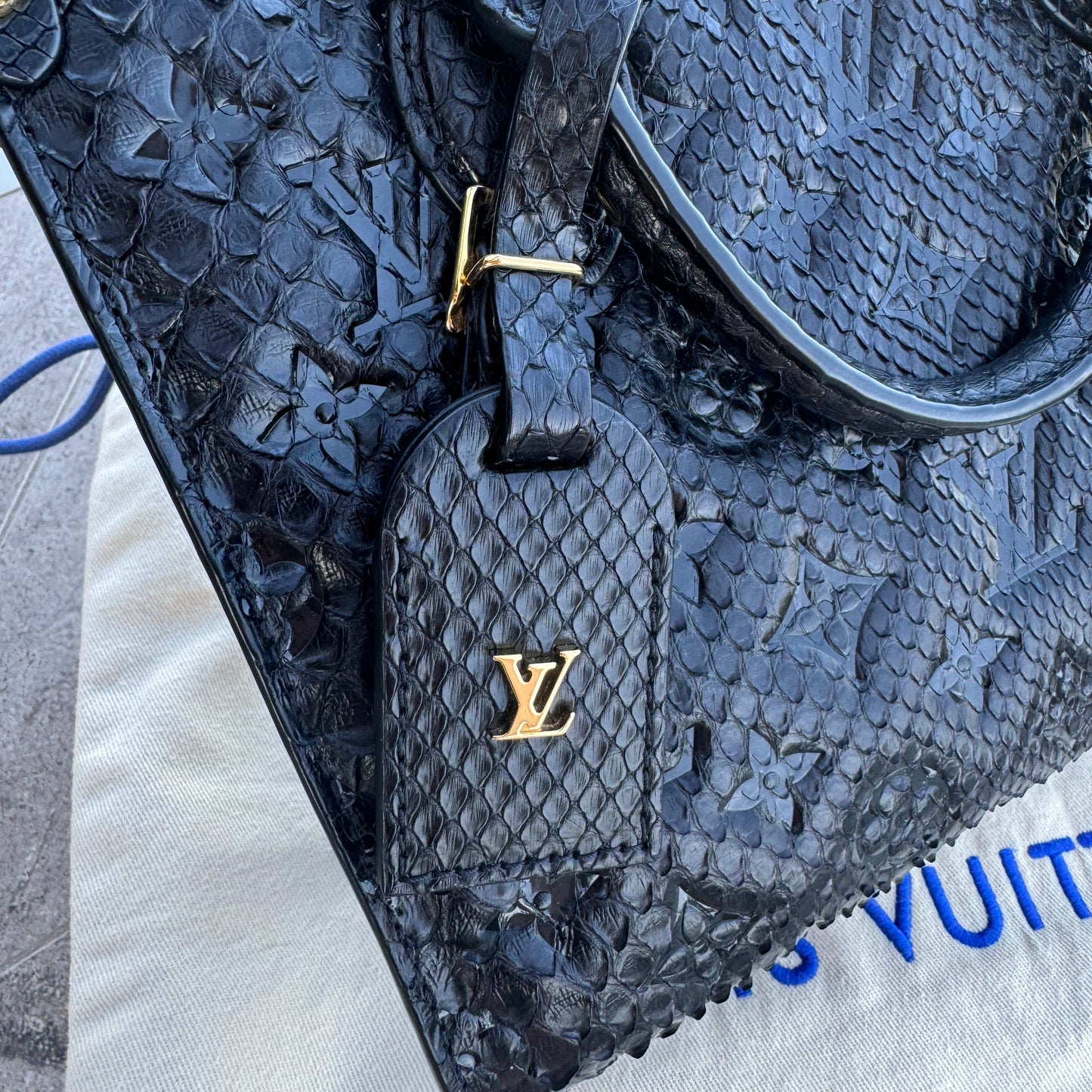 Louis Vuitton Python Onthego PM Crossbody