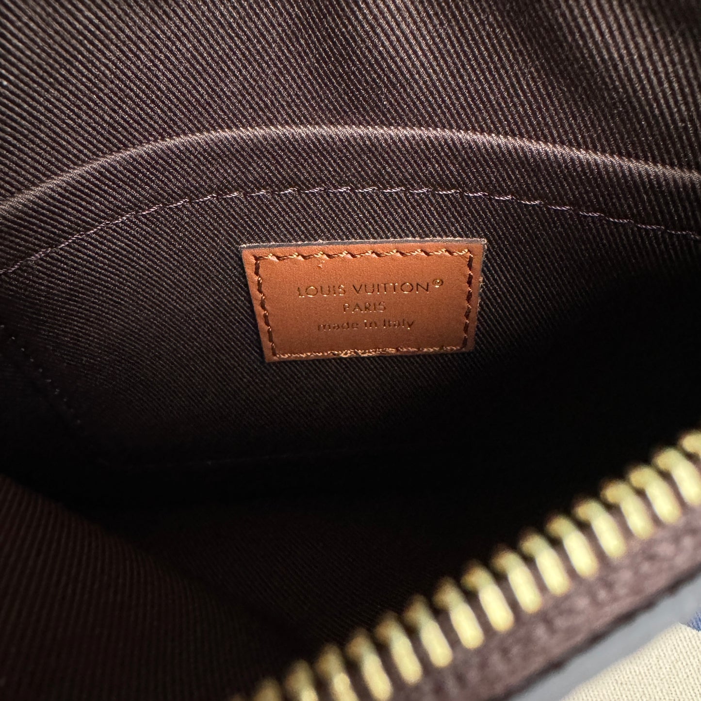 Louis Vuitton Loop Hobo