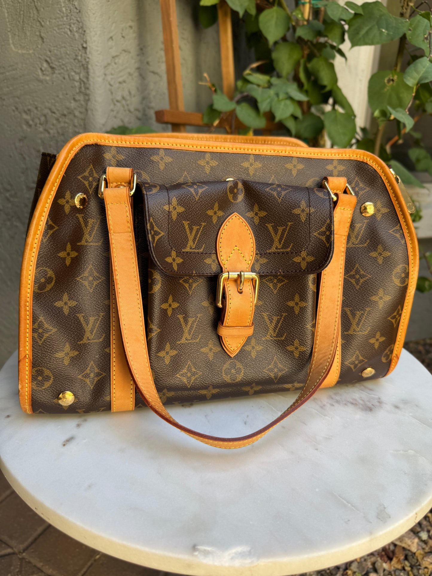 Louis Vuitton Monogram Baxter PM Dog Carrier