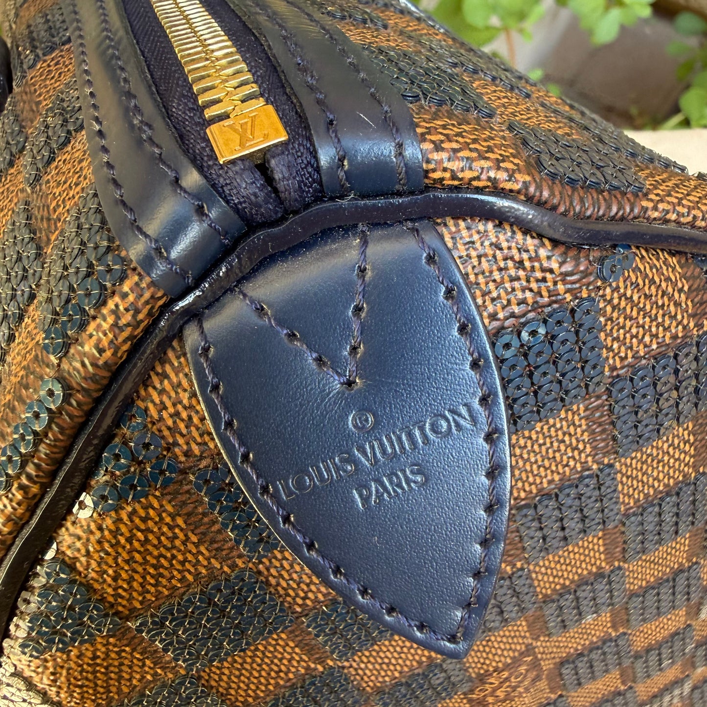 Louis Vuitton Damier Paillettes Speedy 30