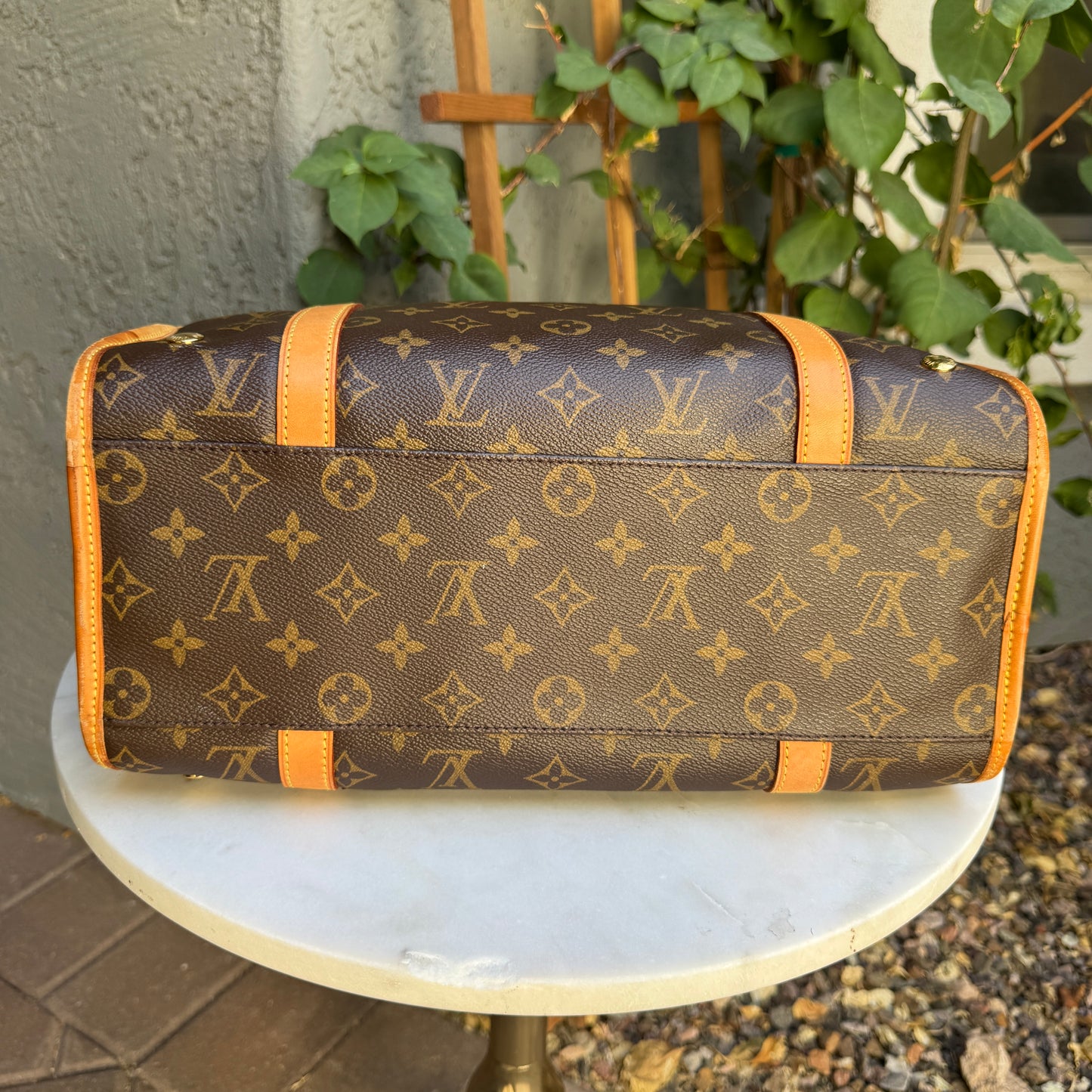 Louis Vuitton Monogram Baxter PM Dog Carrier