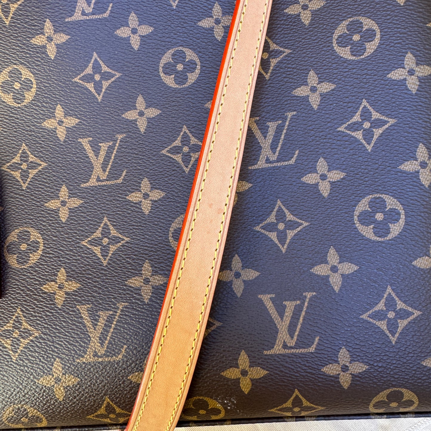 Louis Vuitton Monogram Grand Palais Tote