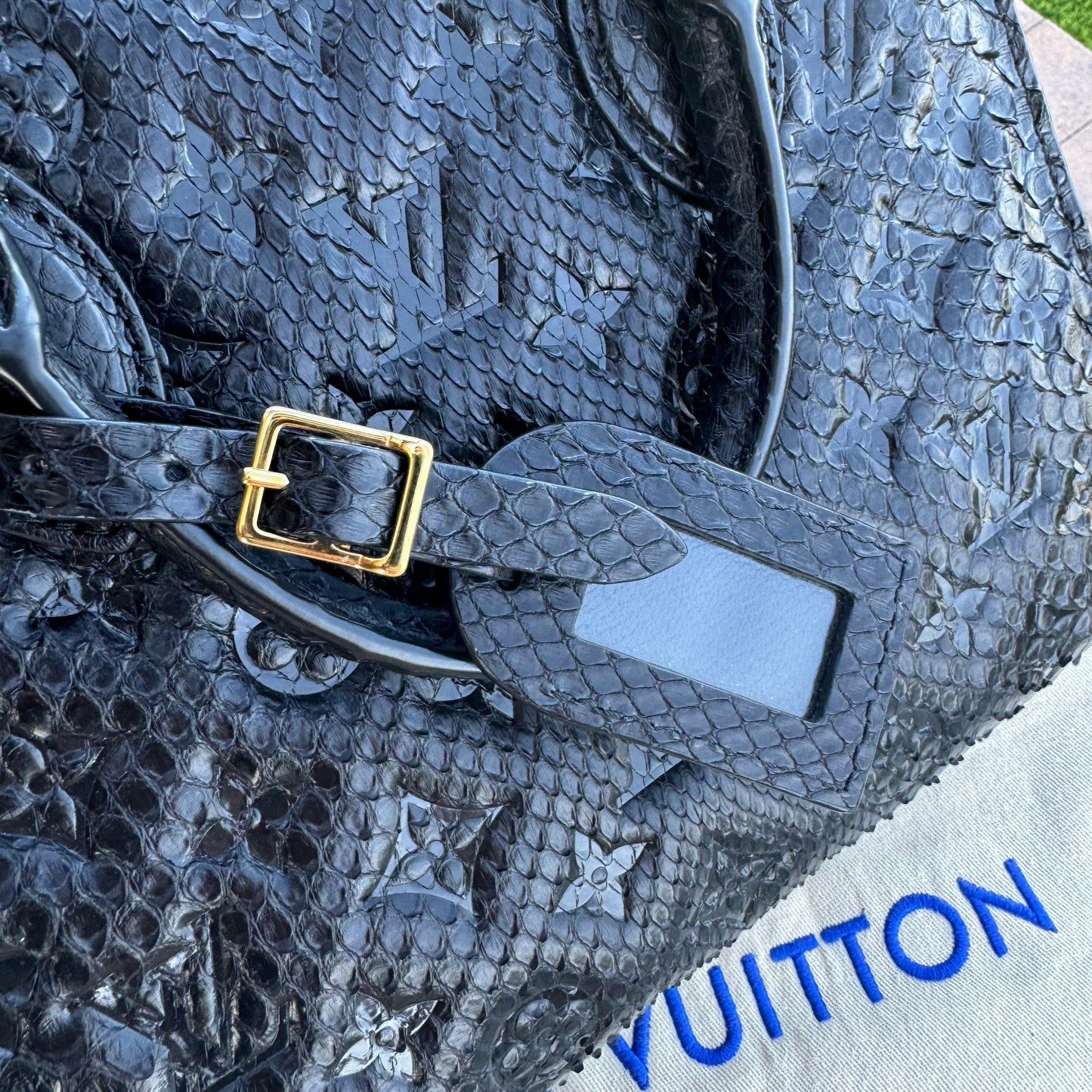 Louis Vuitton Python Onthego PM Crossbody