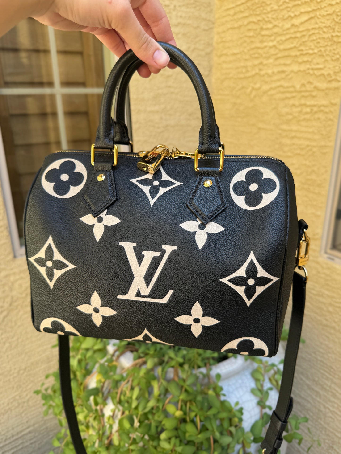 Louis Vuitton Speedy Bandoulière 25