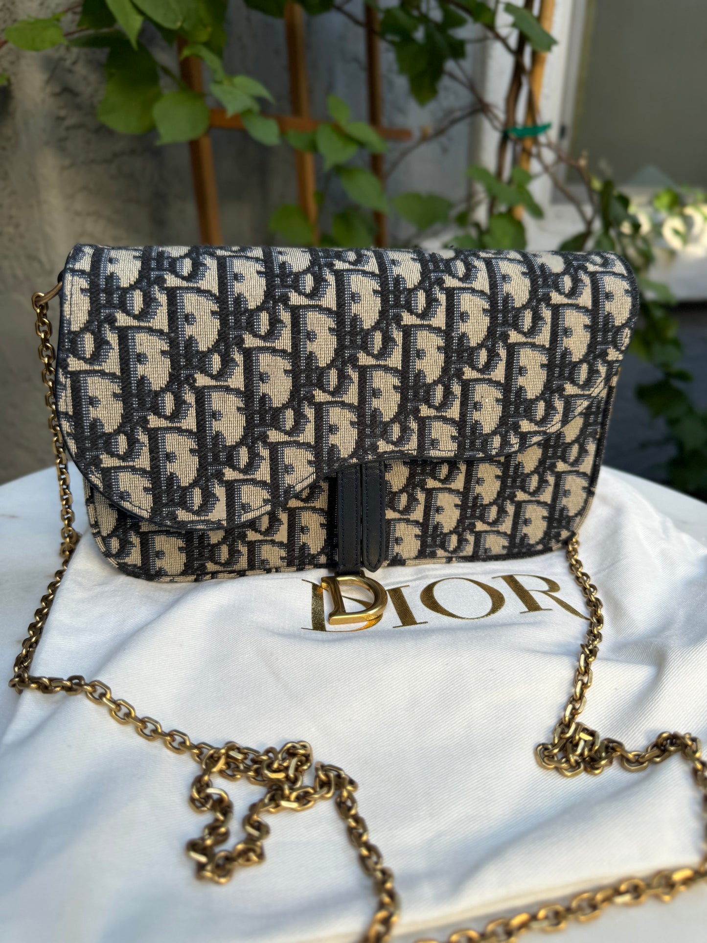 Dior Saddle Pouch with Chain Crossbody