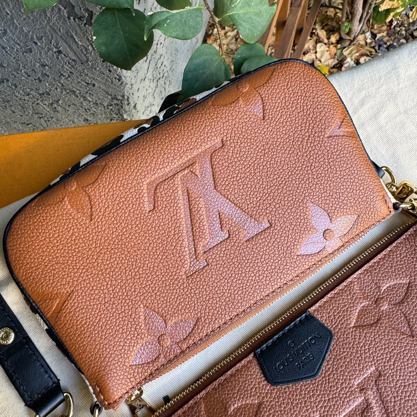 Louis Vuitton Wild at Heart Multi Pochette Accessoires