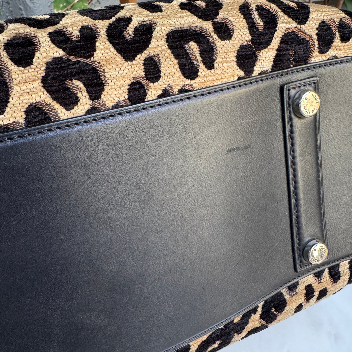 Louis Vuitton Stephen Sprouse Leopard Speedy