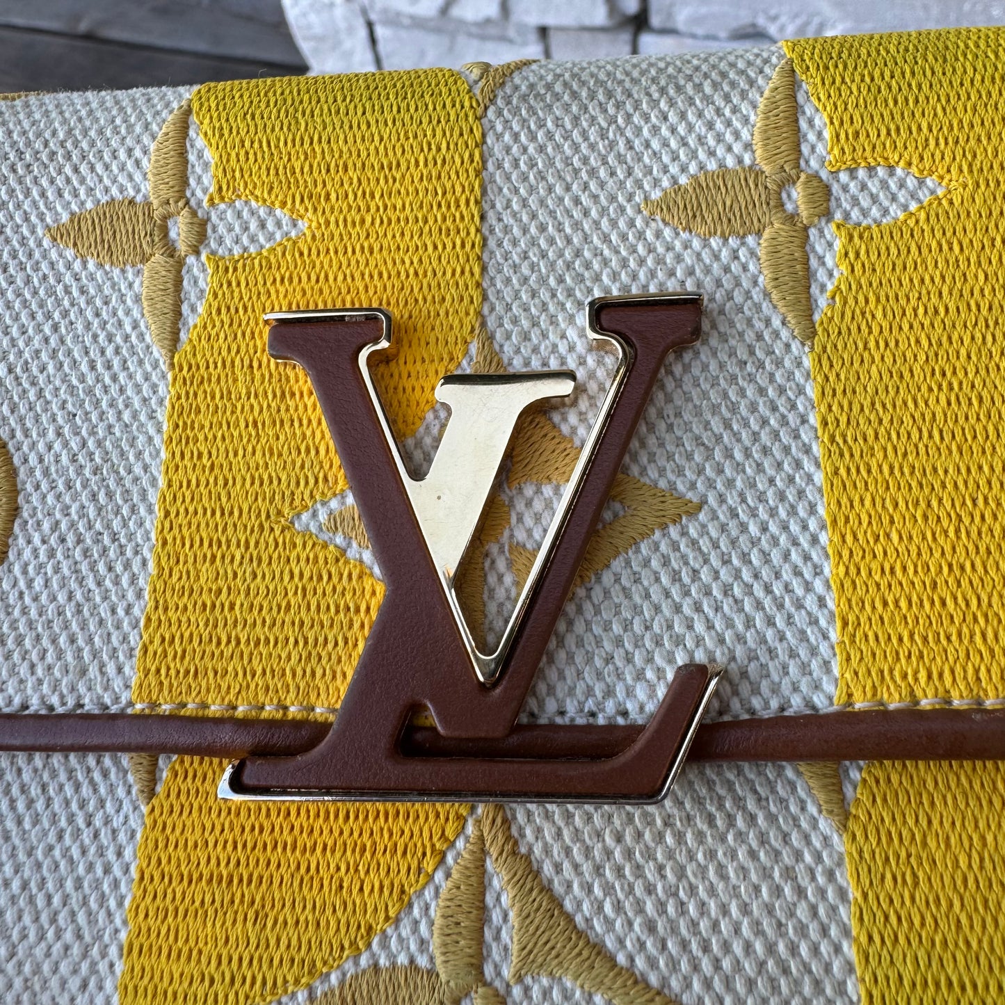 Louis Vuitton Canvas Capucines Wallet