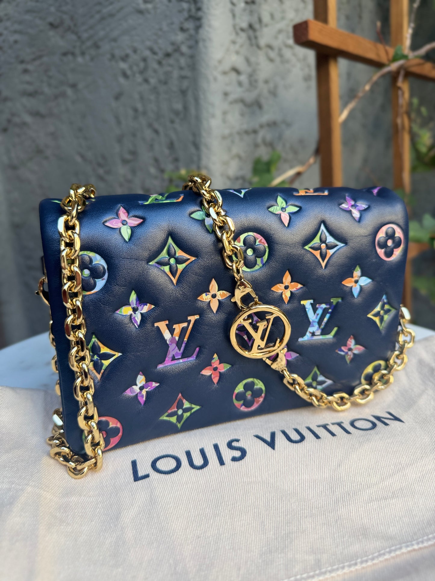 Louis Vuitton Multicolor Garden Pochette Coussin Crossbody