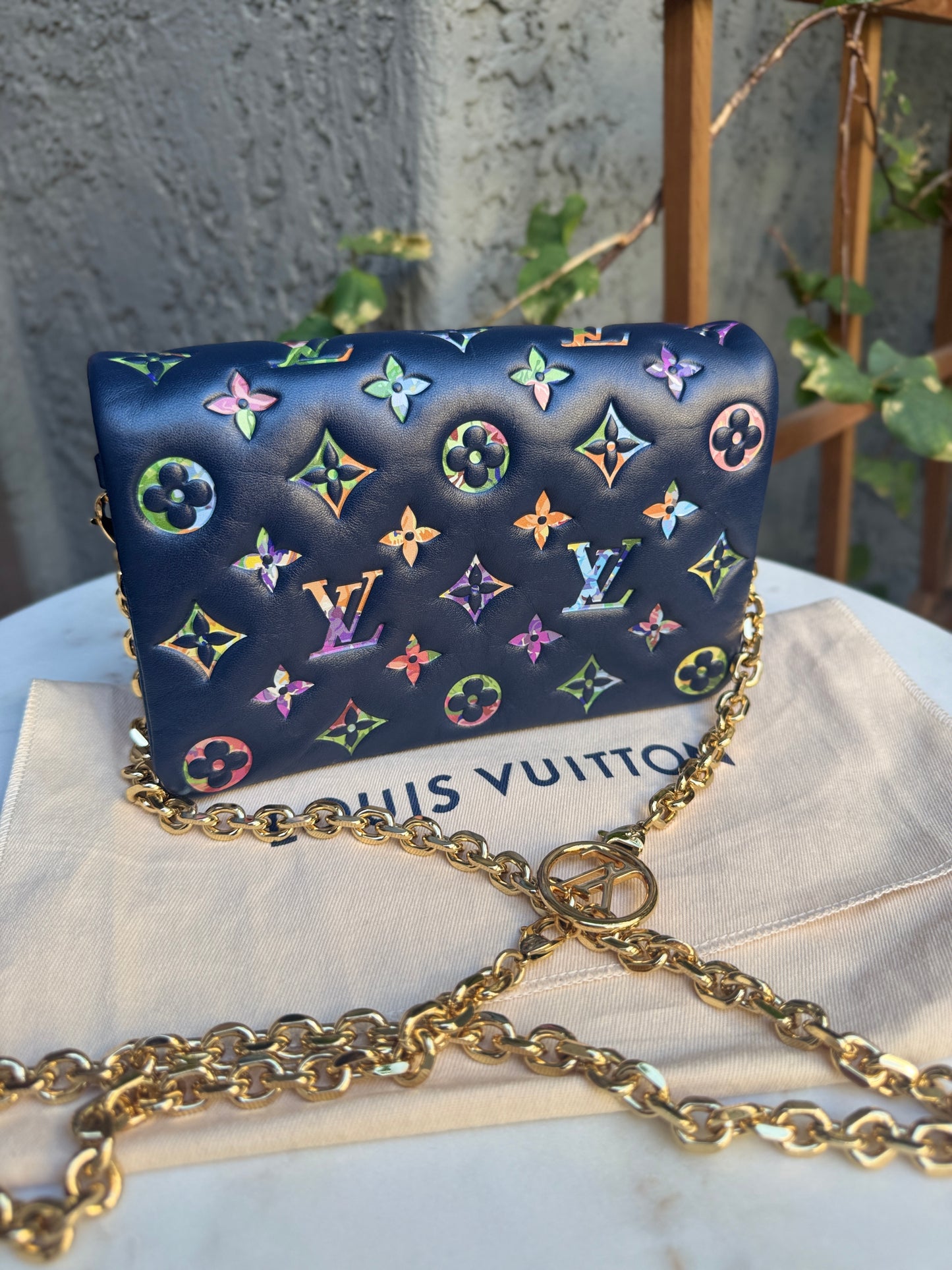 Louis Vuitton Multicolor Garden Pochette Coussin Crossbody