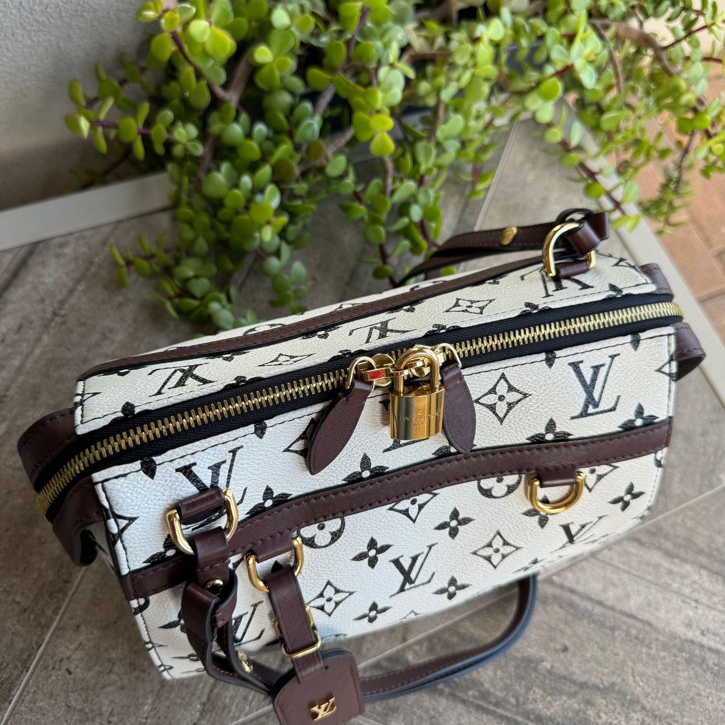 Louis Vuitton Monogram Speedy Amazon PM