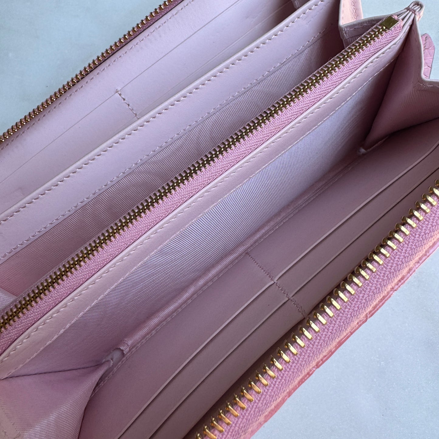 Gucci Ombré Python Zippy Wallet