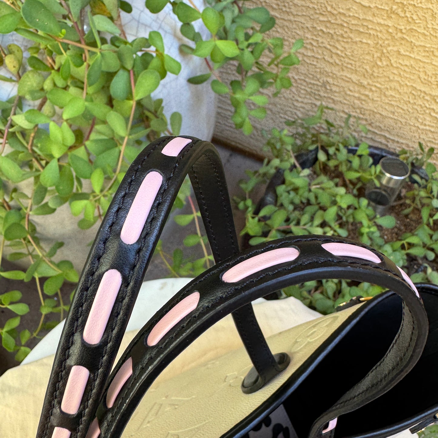 Louis Vuitton Wild at Heart Neverfull MM