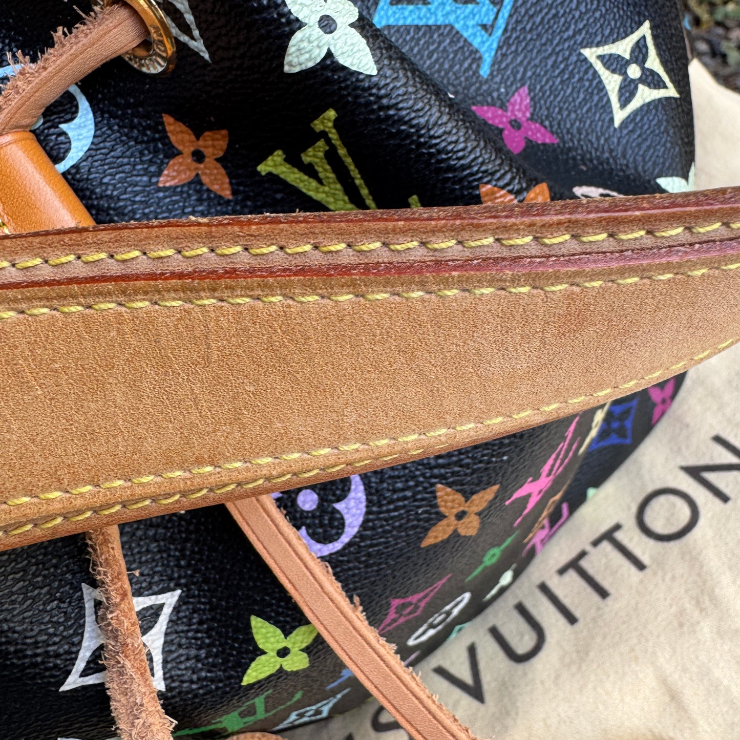 Louis Vuitton Multicolore Petit Noe Bucket Drawstring Shoulder Bag