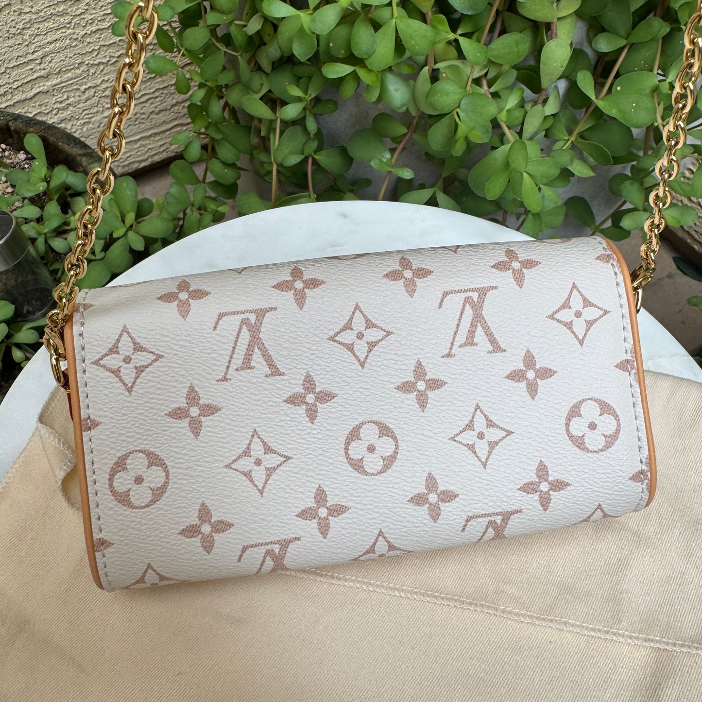 Louis Vuitton Monogram Dune Camille Pochette