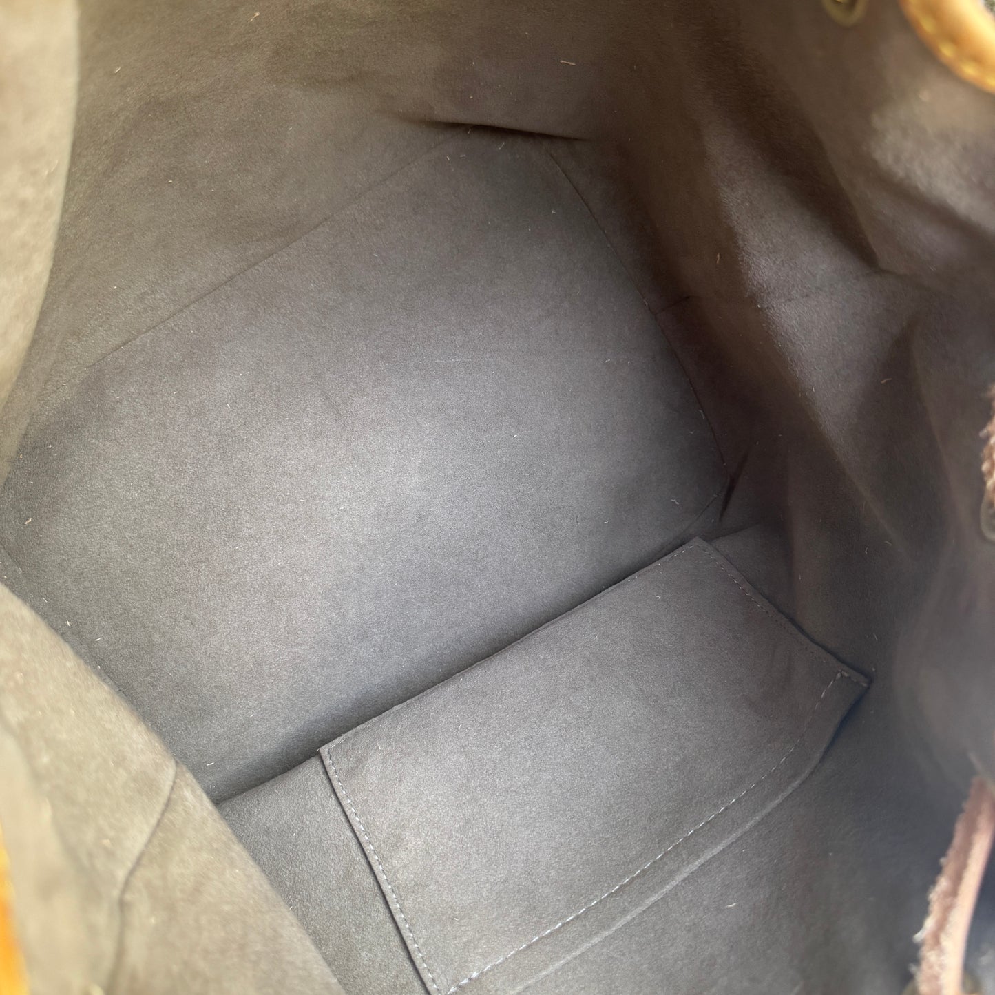 Louis Vuitton Multicolore Petit Noe Bucket Drawstring Shoulder Bag
