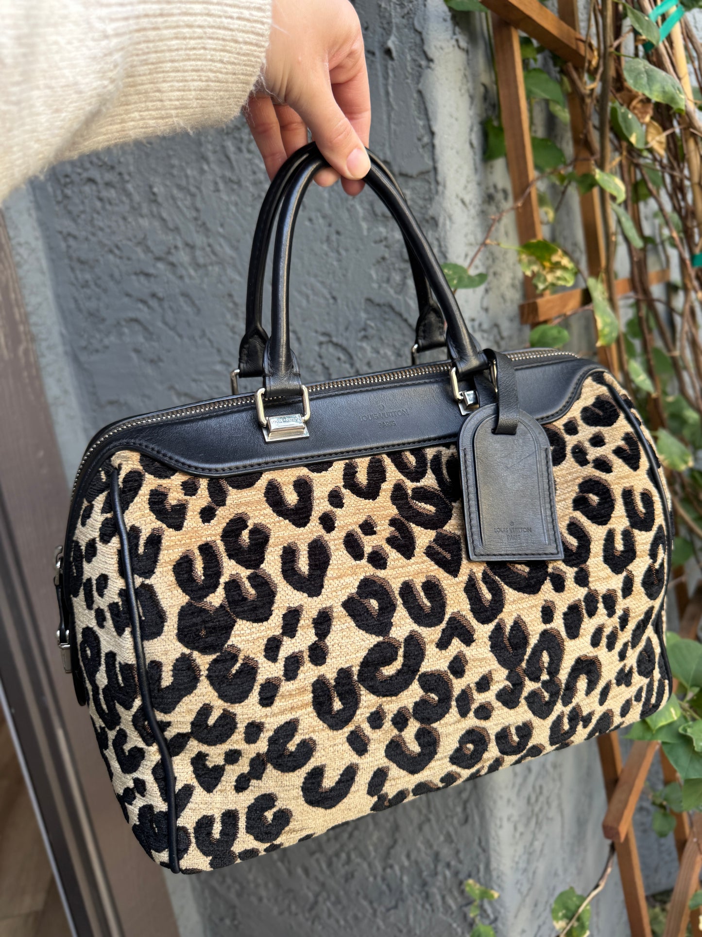 Louis Vuitton Stephen Sprouse Leopard Speedy