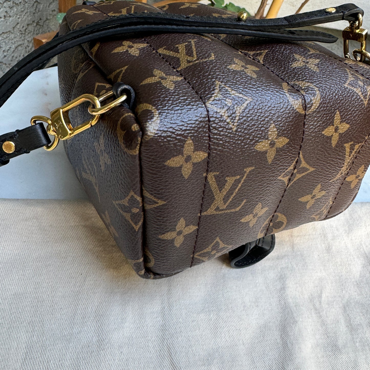 Louis Vuitton Monogram Mini Palm Springs Backpack