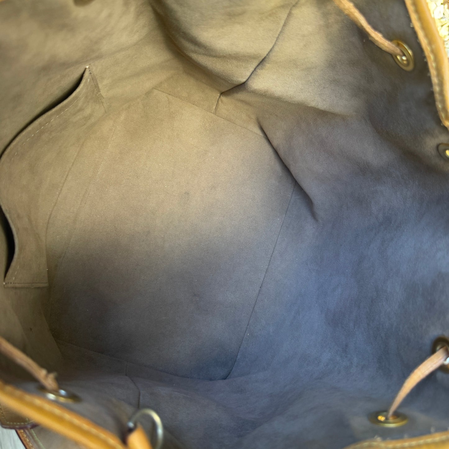 Louis Vuitton Multicolore Petit Noe Bucket Drawstring Shoulder Bag