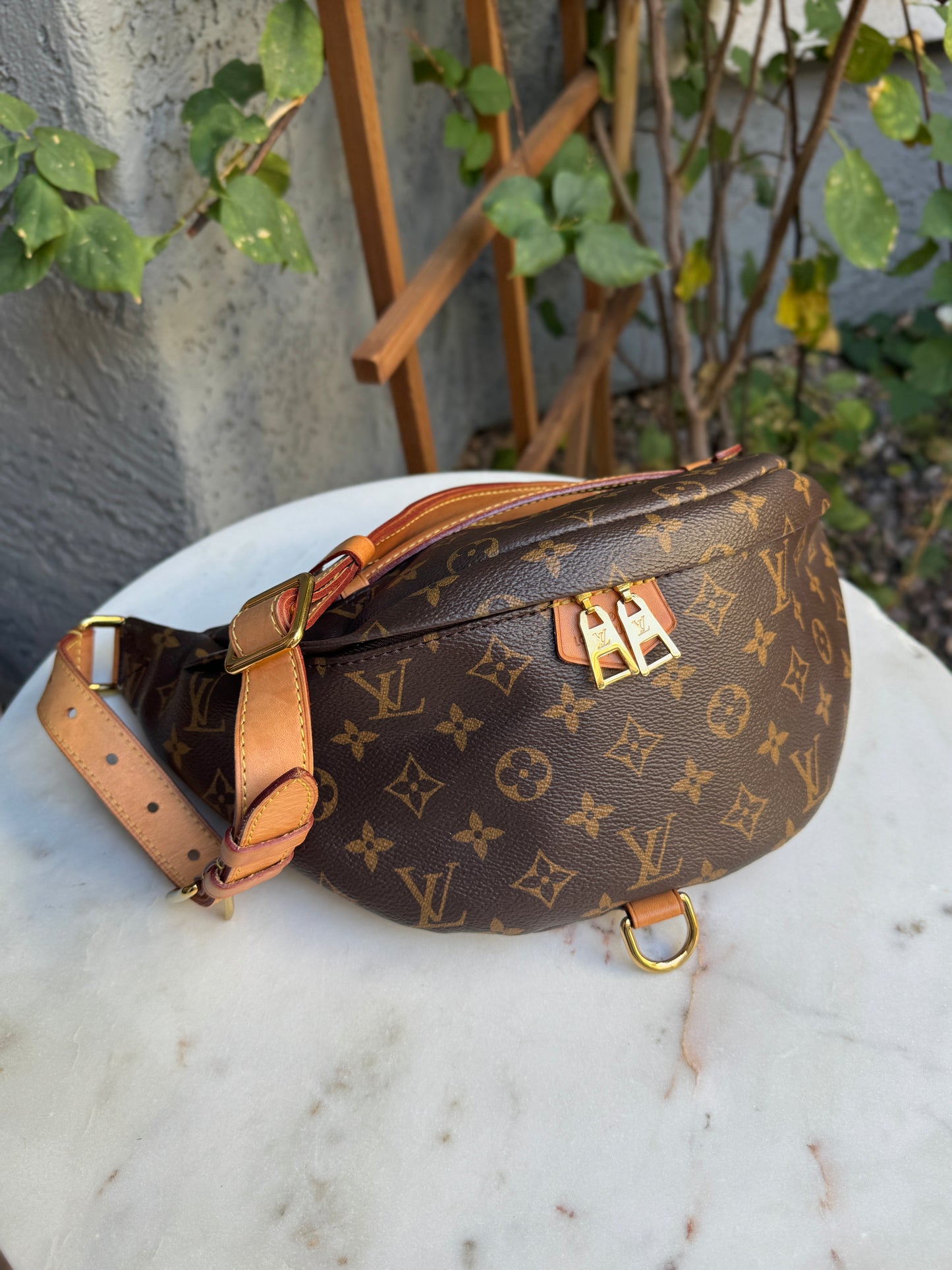 Louis Vuitton Monogram Bumbag
