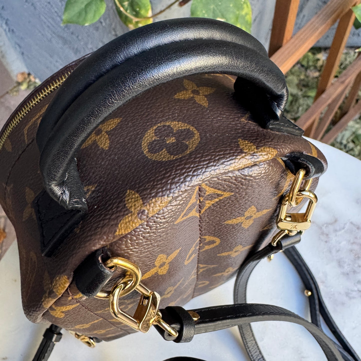 Louis Vuitton Monogram Mini Palm Springs Backpack